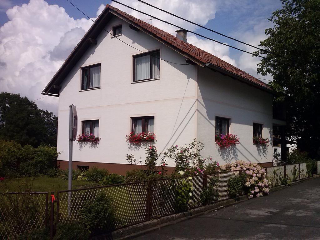 Apartman Josipa Dreznik Grad Ruang foto
